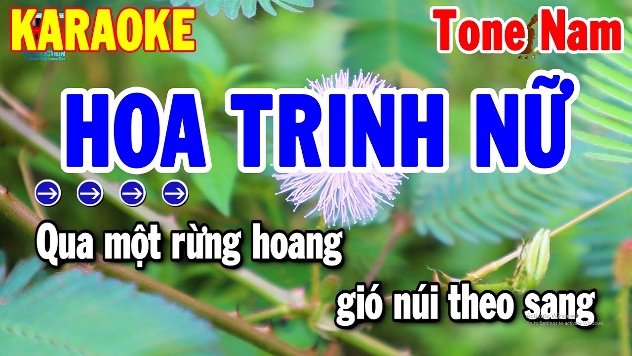 Karaoke Hoa Trinh Nữ Tone Nam | Nhạc Sống Beat Chuẩn 2024 Dễ Hát | Thanh Hải