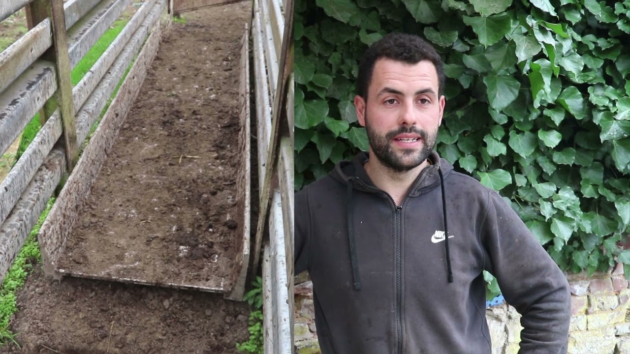 Contention sans arrêt :  « Je pèse mes bovins en mouvement avec un plateau peseur »
