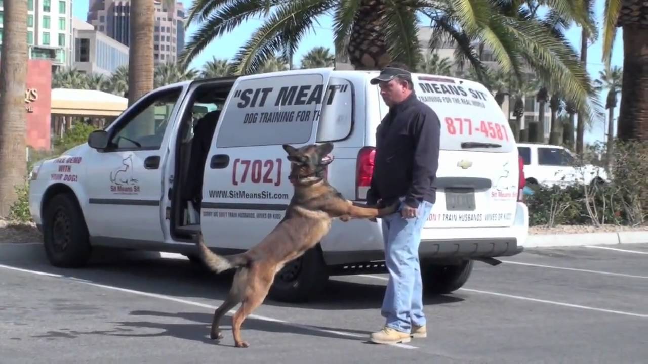 K9 Dog Training - Dog Trainer Fred Hassen