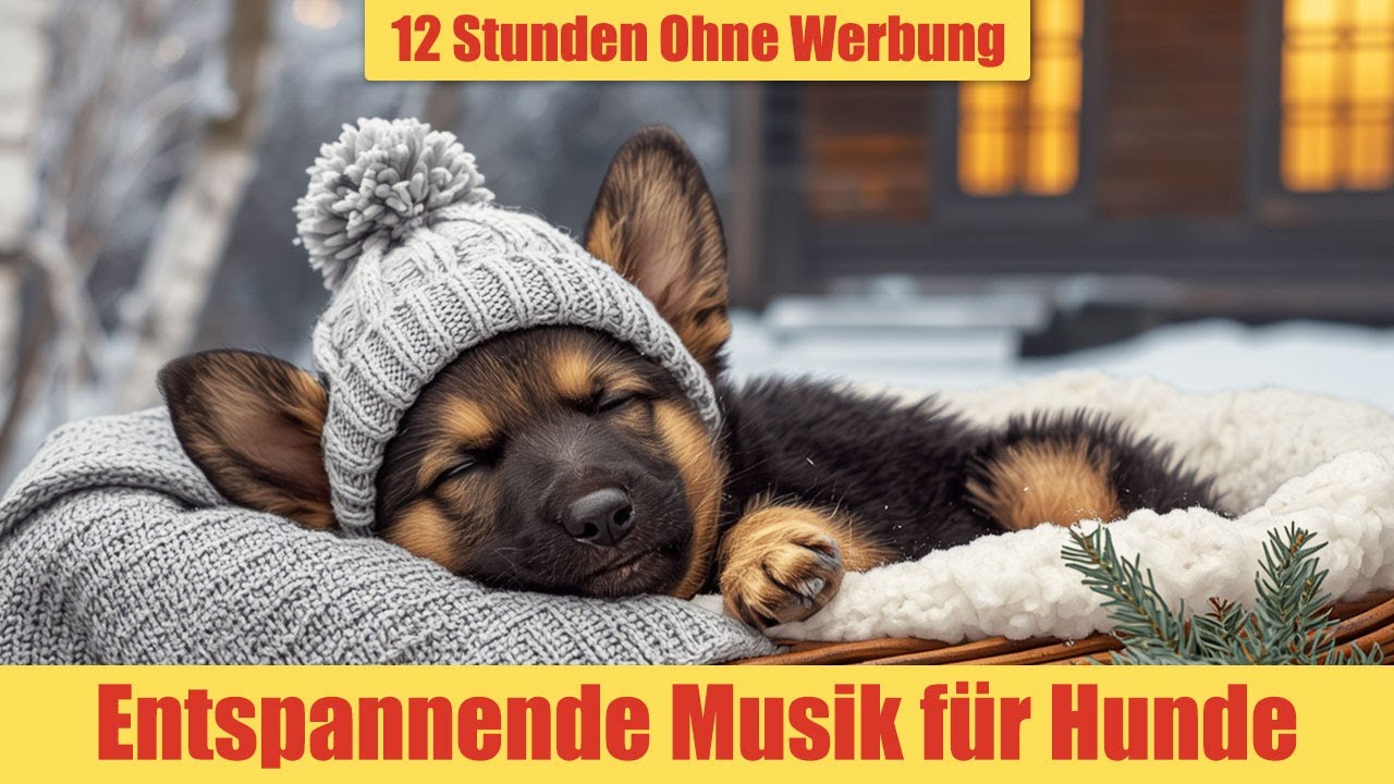 Beruhigende Musik für Hunde - 12 Stunden Ohne Werbung | Entspannung & tiefer Schlaf_vol.4