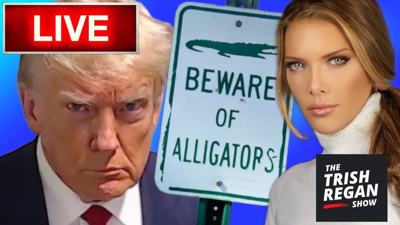 'Alligator Moat' at the Border?! - Internet ERUPTS 😂