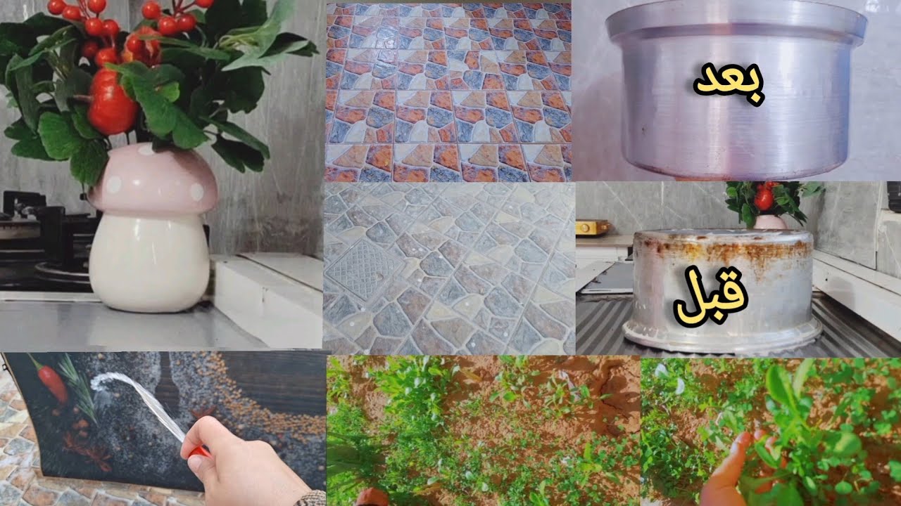 تنظيف الطارمة من الأسمنت بعد الشغل 😍 / حديقتي المتواضعة / روتين غسل فرش المطبخ 