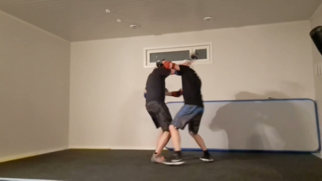 Bajiquan enter and throw training