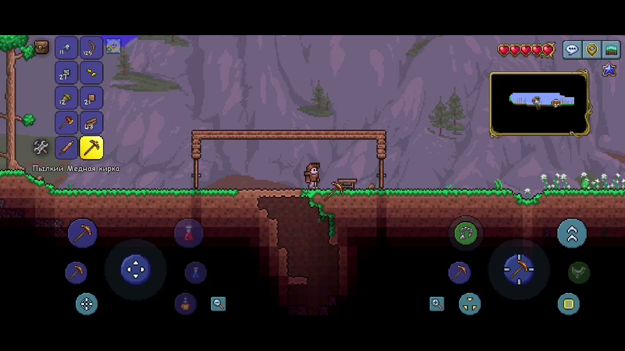 В первые играю в Terraria