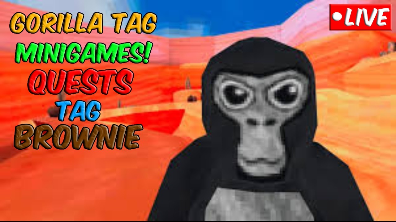 Playing Gorilla Tag With Fans!