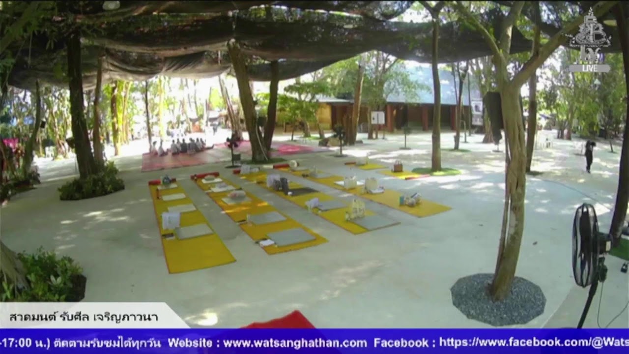 Live สด ปฏิบัติธรรม ฟังธรรม ทุกวันอาทิตย์