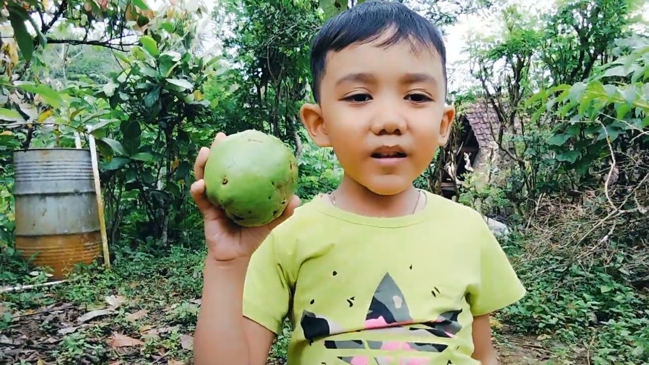 Banyak buah di kebunku
