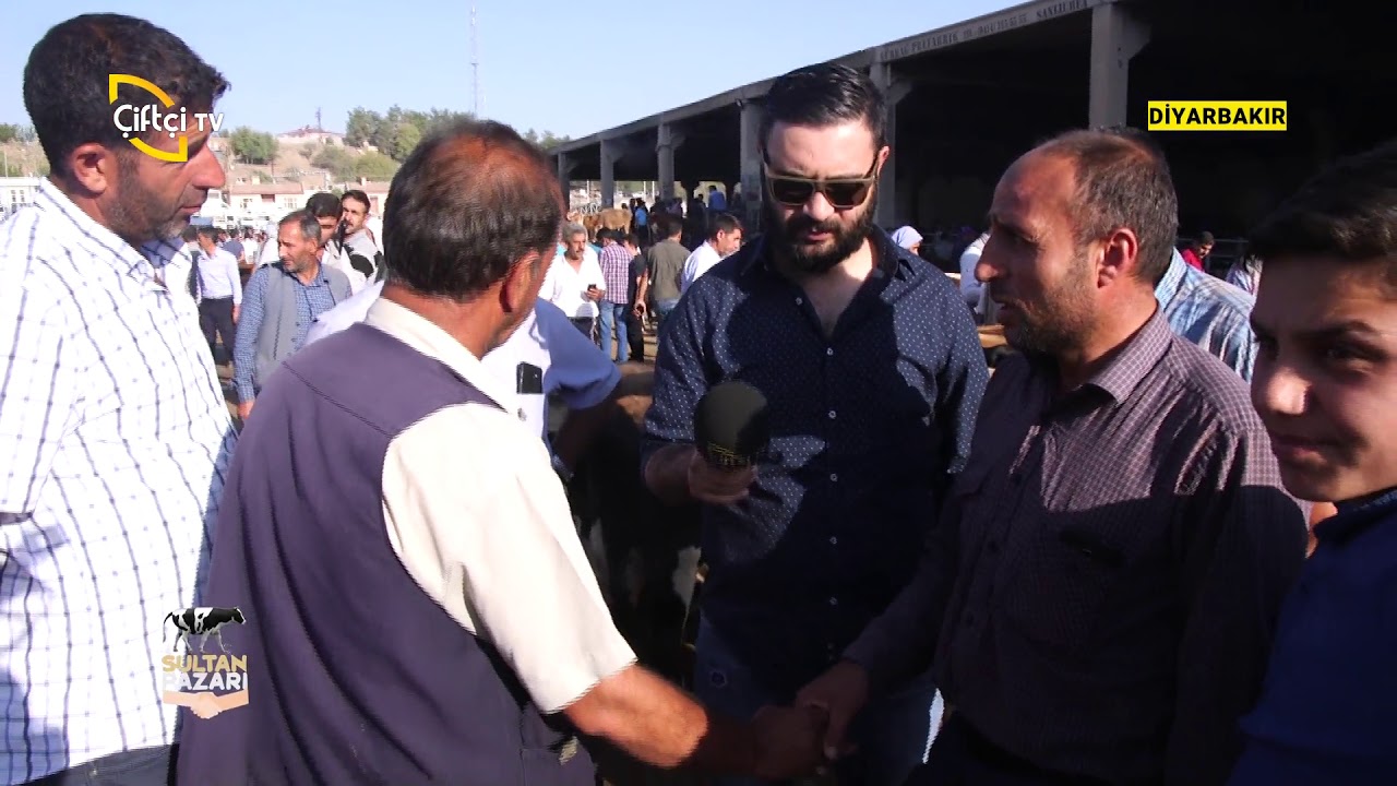 Diyarbakır Hayvan Pazarındayız - Sultan Pazarı / Çiftçi TV