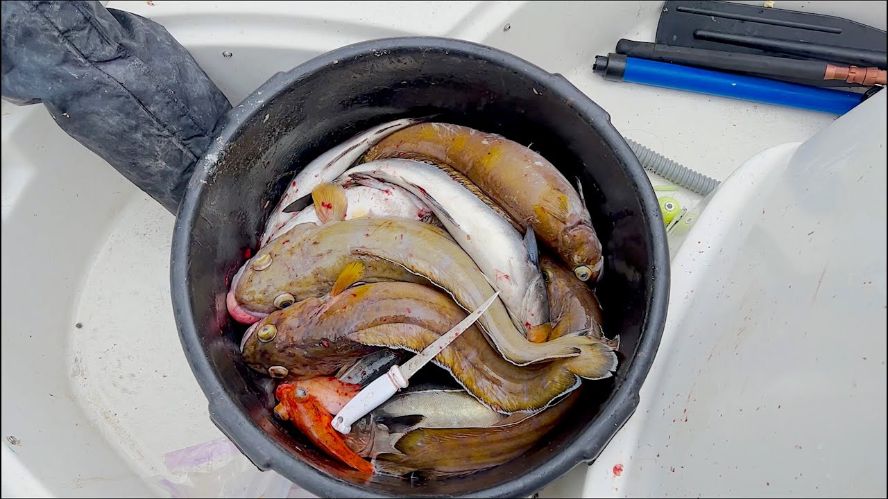 Havfiske - Brosmefest på Dypt Vann