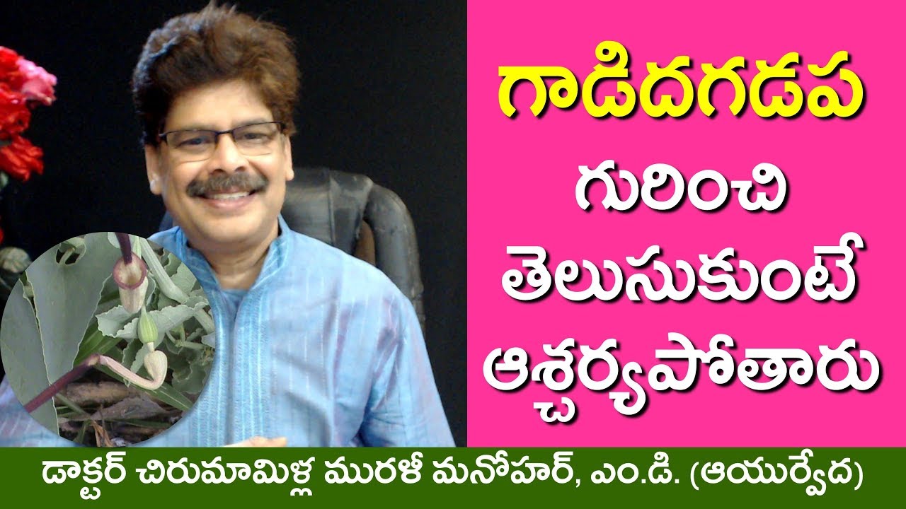 గాడిదగడప మొక్క ఉపయోగాలు తెలుసుకుంటే ఆశ్చర్యపోతారు.  ఇది నెలసరి సమస్యలను, చర్మవ్యాధులను తగ్గిస్తుంది.