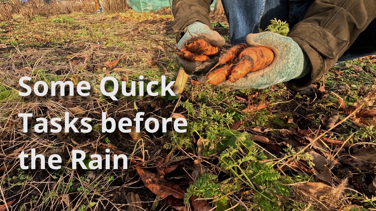 Preparing for Spring: Some Quick Tasks before the Rain