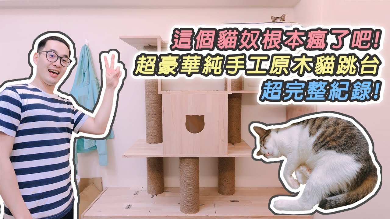 瘋了吧! 超豪華純手工原木貓跳台! 超完整記錄! ft.lolo  |  IchyLo 一起羅