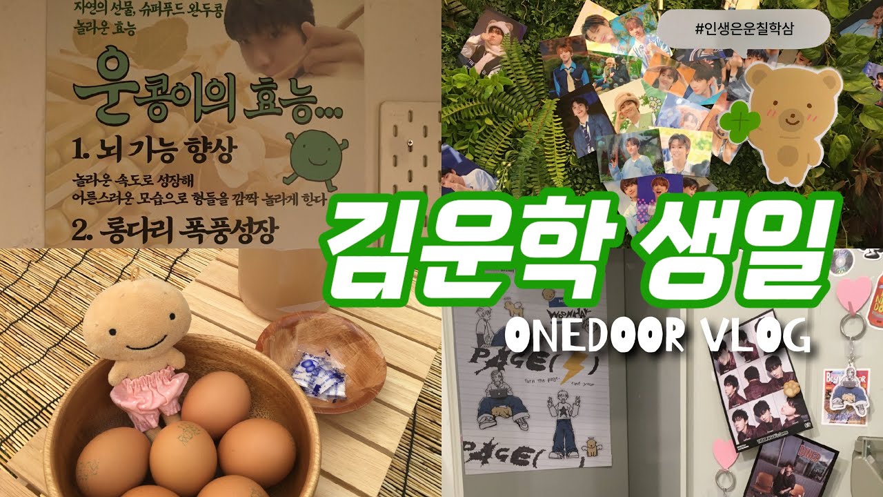 [원도어브이로그] 생카 20곳 도장깨기｜운학 생일카페 투어