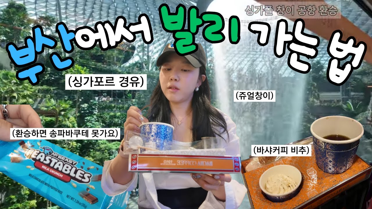 [발리여행] 부산-발리 싱가포르경유 창이공항 환승하기/바샤커피 먹지 마세요../쥬얼창이 보는 꿀팁/비행기환승하는방법