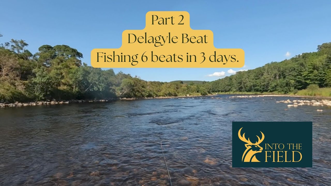 Part 2 6 beats in 3 Days. Fishing Delagyle on the Spey.