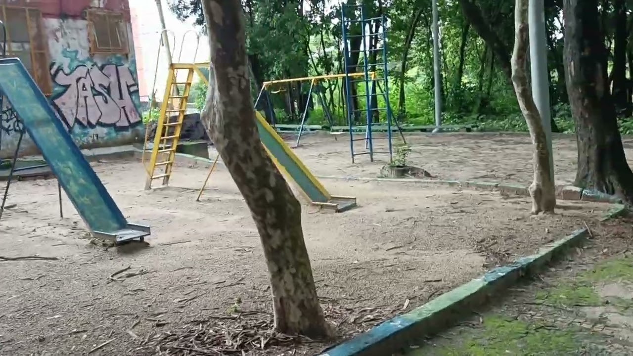 Toninho da máquina trabalhando em prol da natureza fauna flora e vidas de Campinas Brasil e do mundo