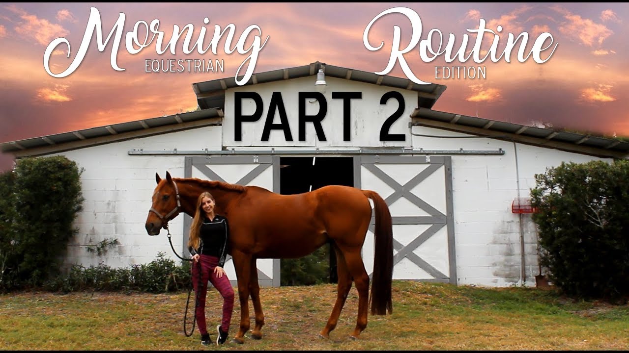 Barn Vlog! Part 2 of my MORNING ROUTINE of a Equestrian!