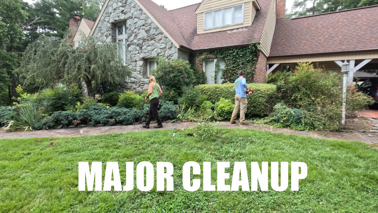 TRIMMING OVERGROWN SHRUBBERY | SATISFYING TRANSFORMATION!