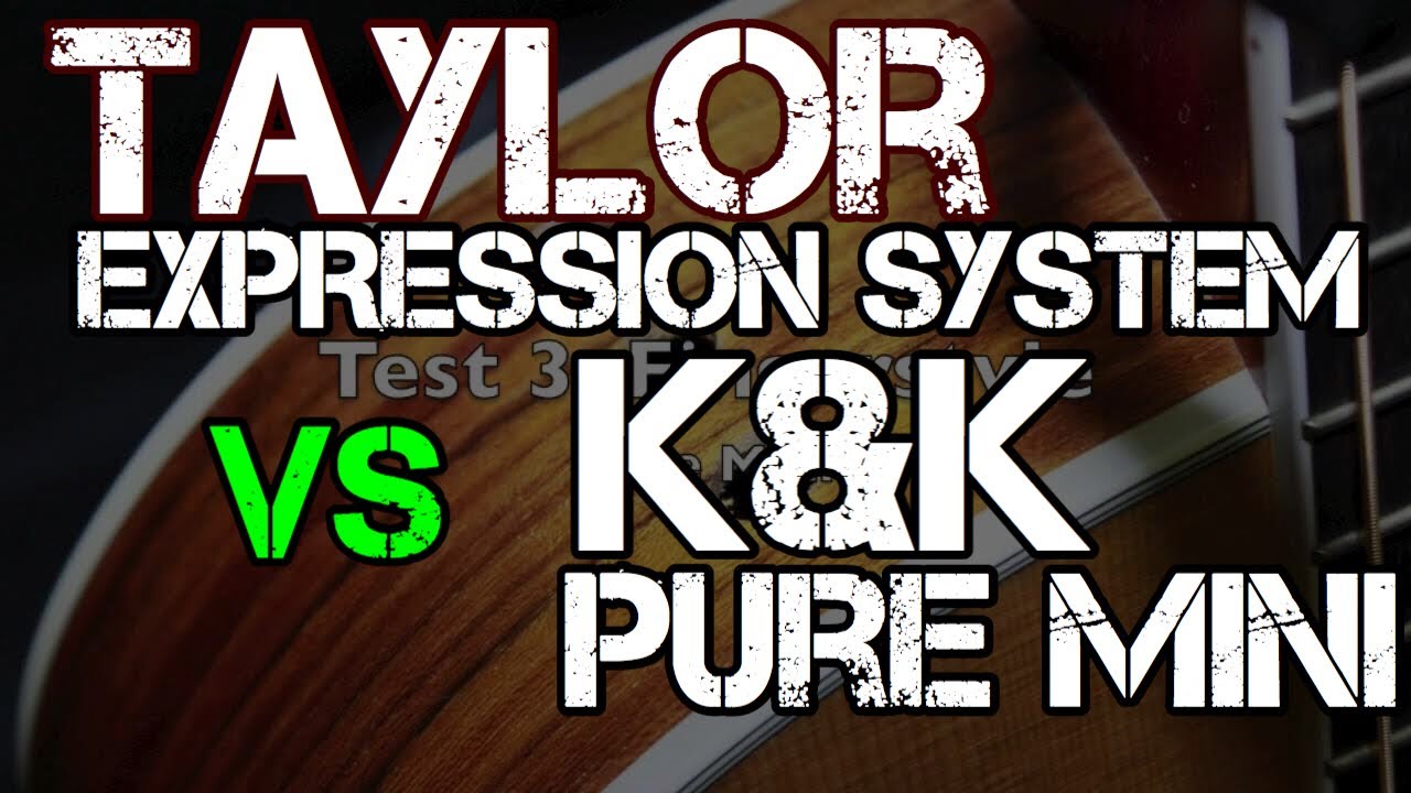 Taylor Expression System VS K&K Pure Mini