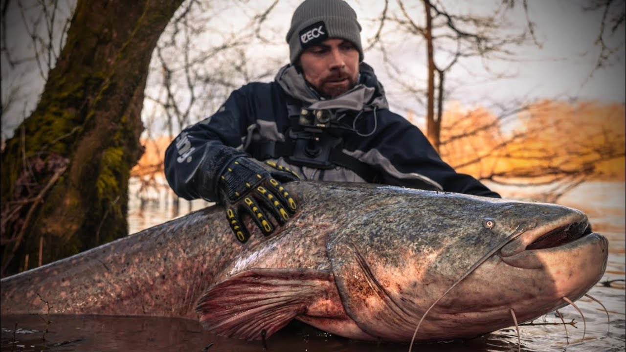 On pêche la LOIRE en CRUE avec deux techniques différentes : flotteur et verticale !