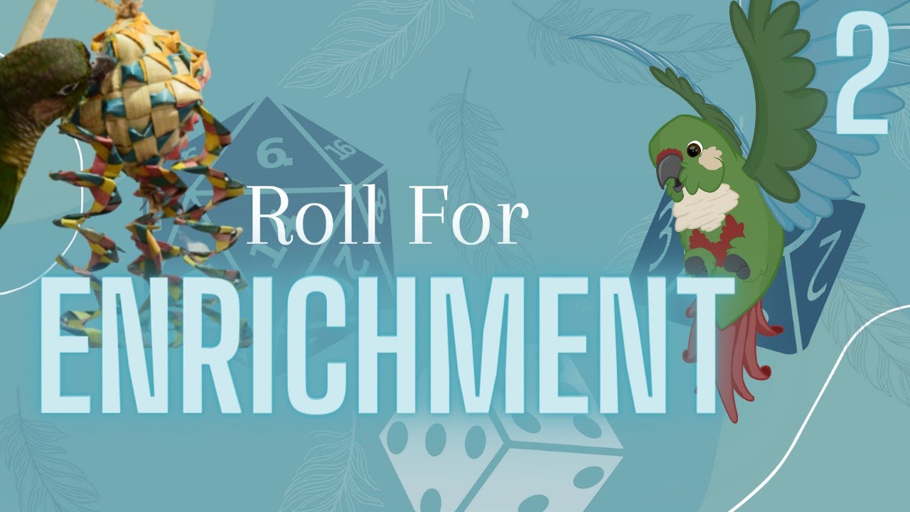 Toy Rotation | Roll For Enrichment