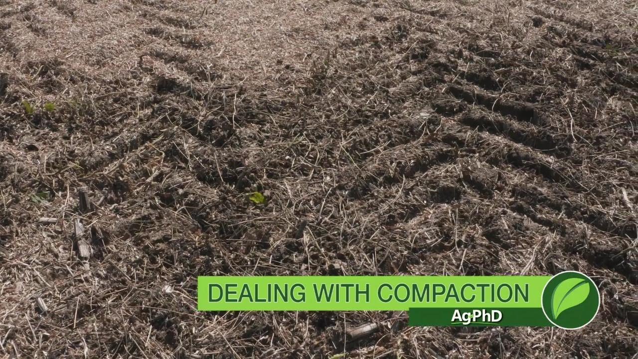 Compaction and Zone Building 