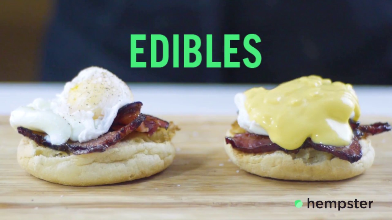 Hempster: Gourmet Cannabis Edibles