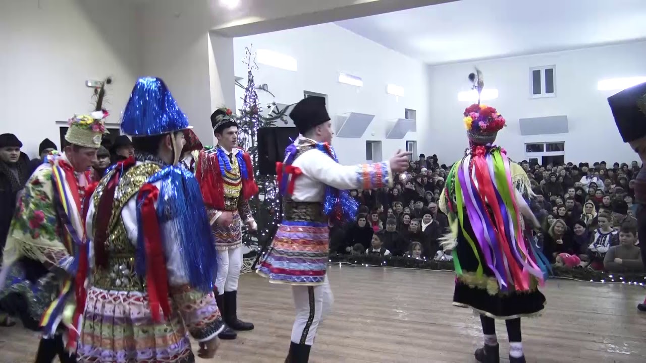 Obiceiuri de iarna 2016   Irozii Arbore 3