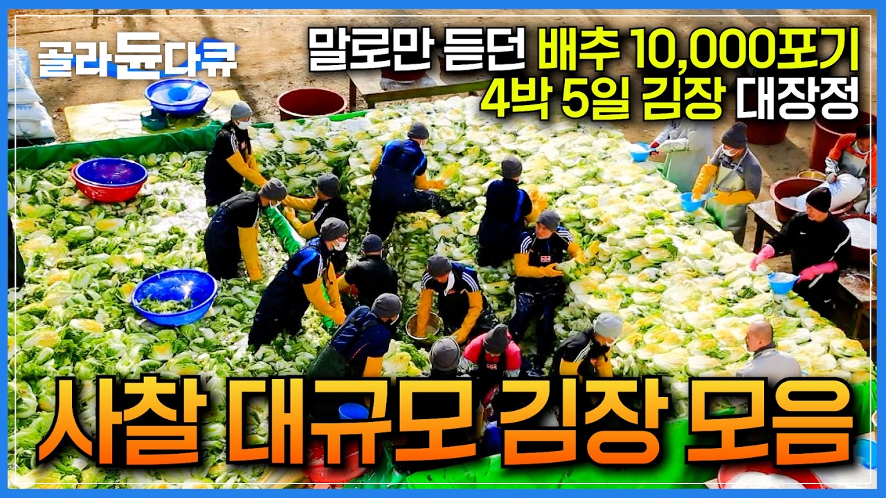 🥬드디어 사찰 김장의 서막이 올랐다🥬｜매년 45톤 분량의 배추 10,000포기! 1년 중 가장 큰 행사라는 사찰 김장하는 날｜대규모 김장 광경에 놀란 외국인｜한국기행｜#골라듄다큐