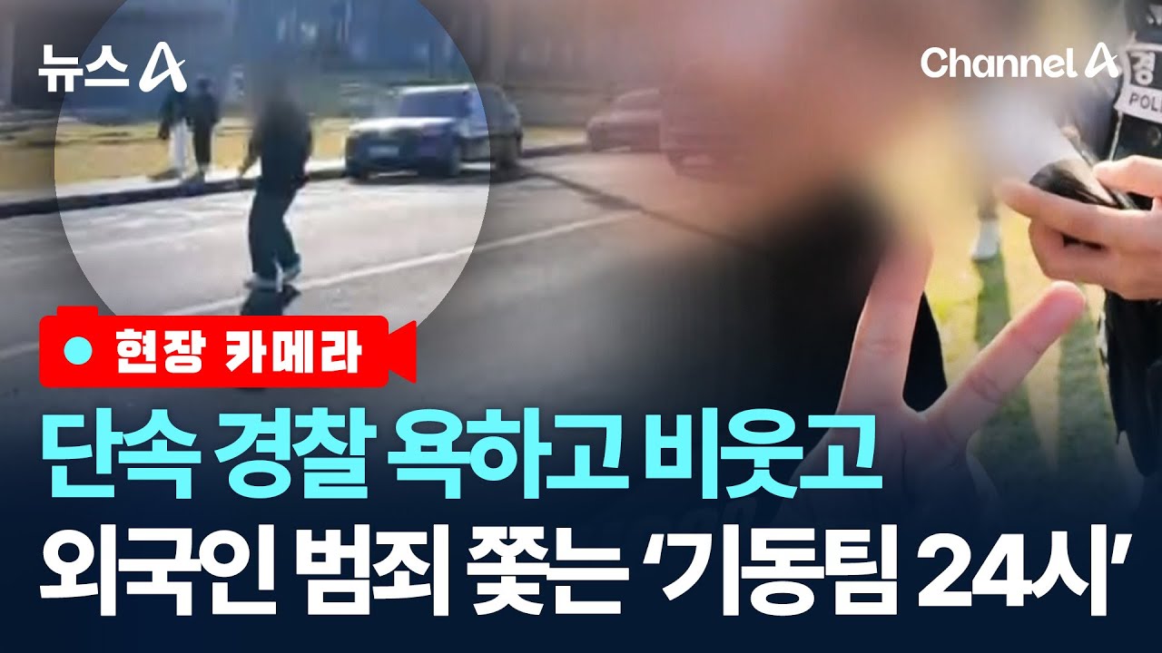 [현장 카메라]단속 경찰 욕하고 비웃고 외국인 범죄 쫓는 '기동팀 24시'/ 채널A / 뉴스A