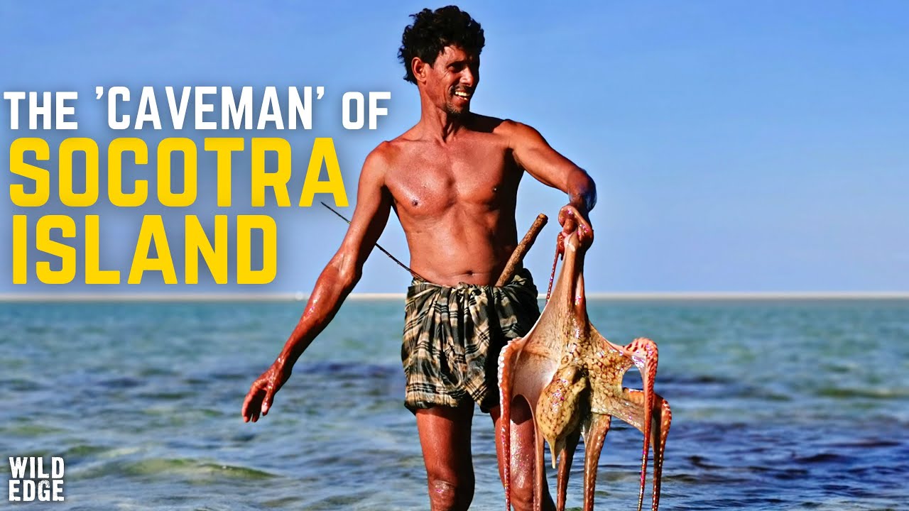 Yemen's Island PARADISE: My Journey to SOCOTRA