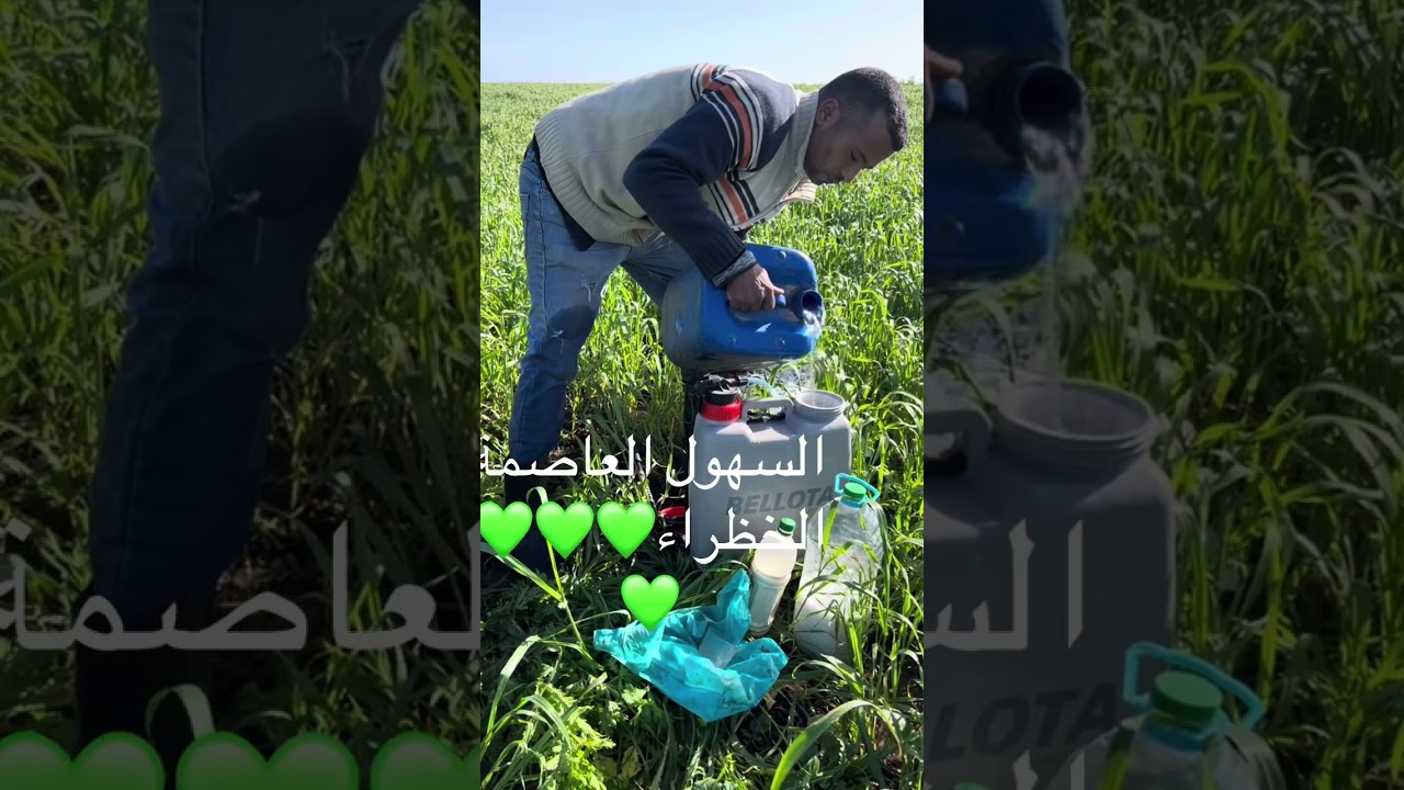 من قلب الطبيعة السهول❤️❤️❤️❤️❤️❤️❤️