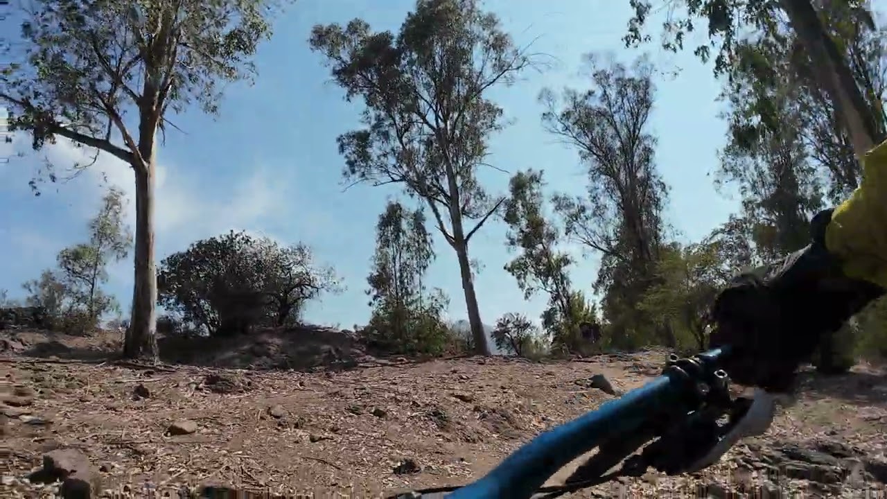 DJI 20260125111732 0014 D