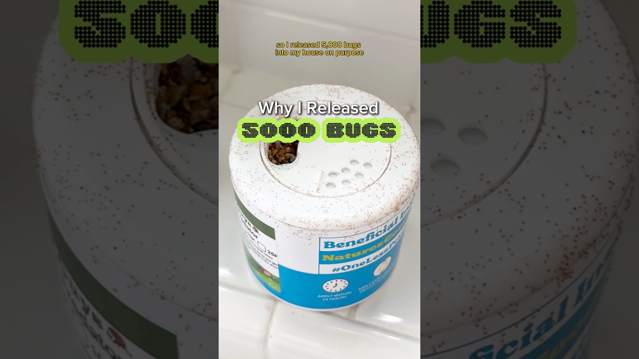 Why I Released 5000 BUGS 🪲#shorts #plants #indoorplants #houseplants #plantcare #spidermites #tips
