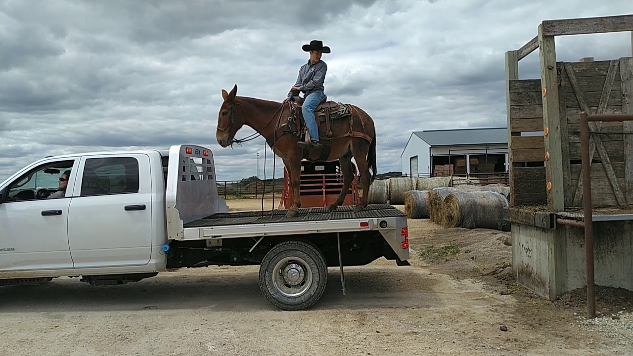 Rafter D Mules Butter