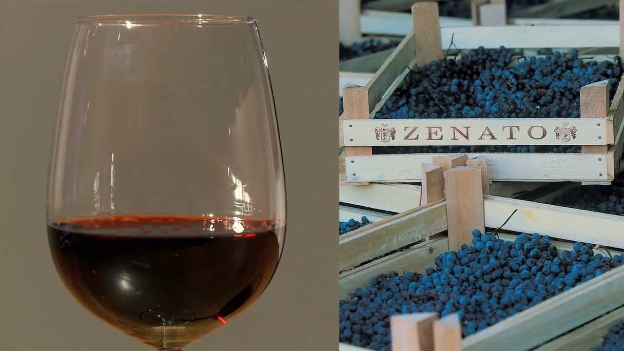 Ripassa Valpolicella Superiore Zenato