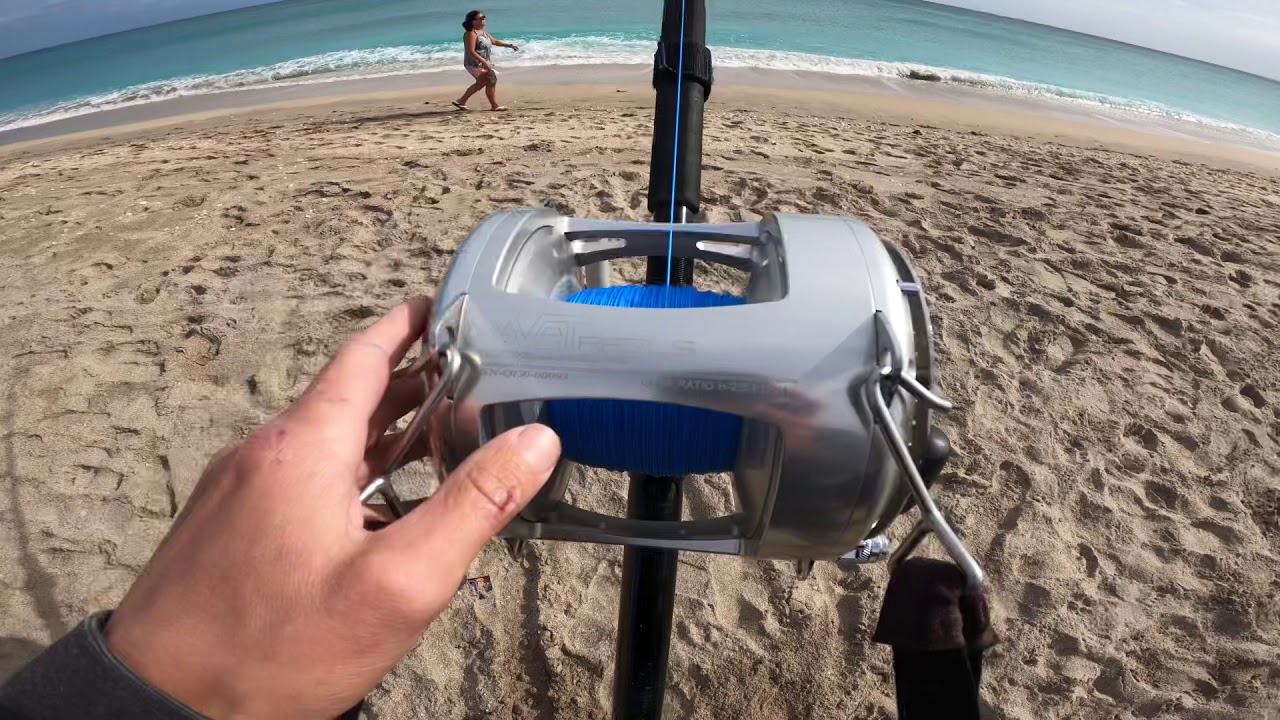 TRX130 Smoked by a Hammerhead Shark