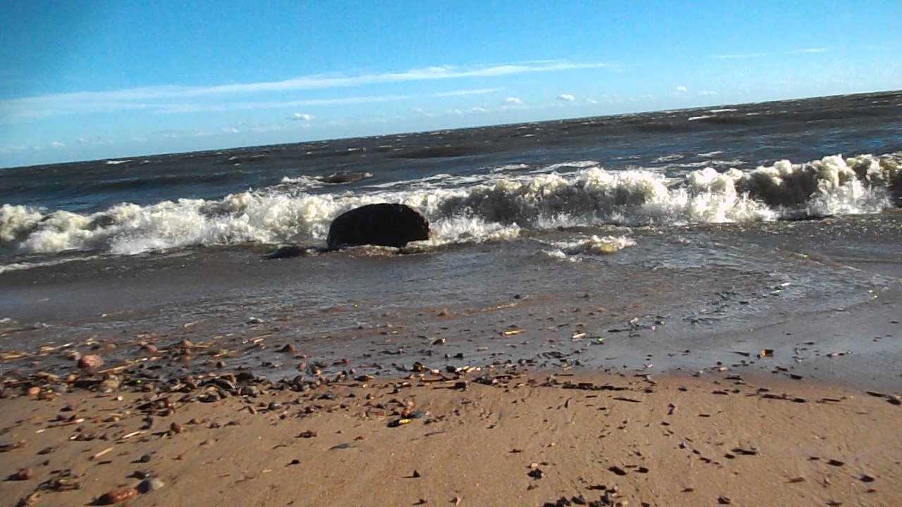 DSCN0143