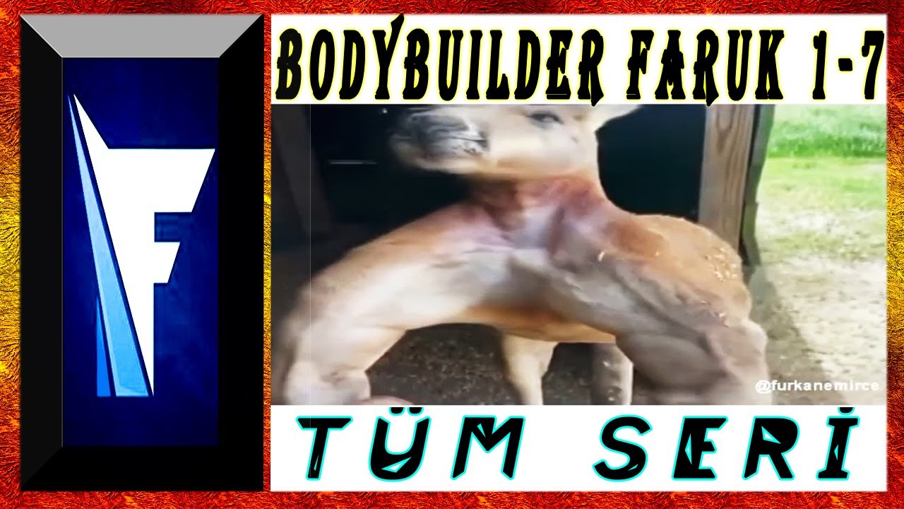 Furkan Emirce - Bodybuilder Faruk Tüm Seri | 1-7