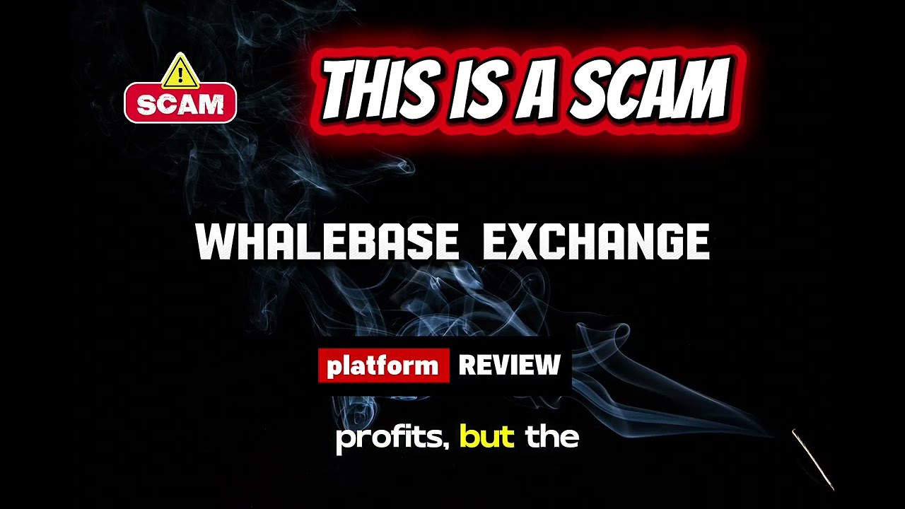 Whalebase Exchange Review | Is Whalebase Legit? Crypto Exchange Platform Risk & User Awareness