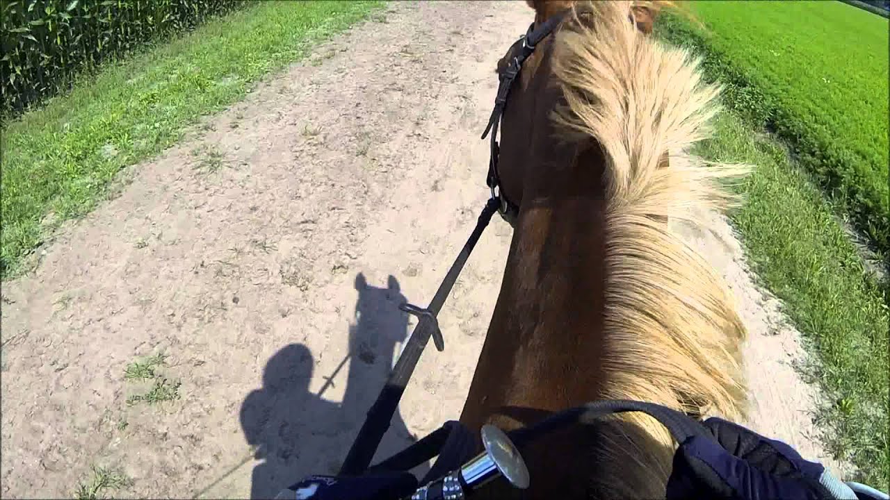 Gopro Horseriding [TEST]