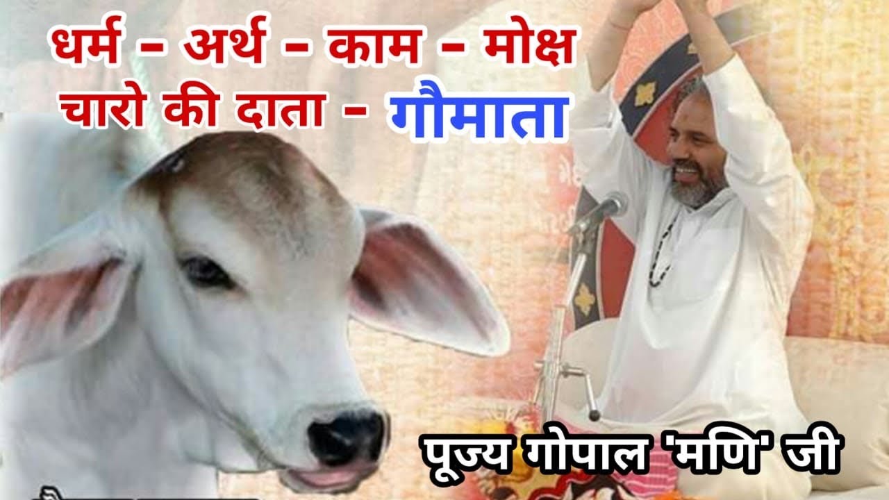 Gopal mani ji maharaj Dhenumanas go katha
