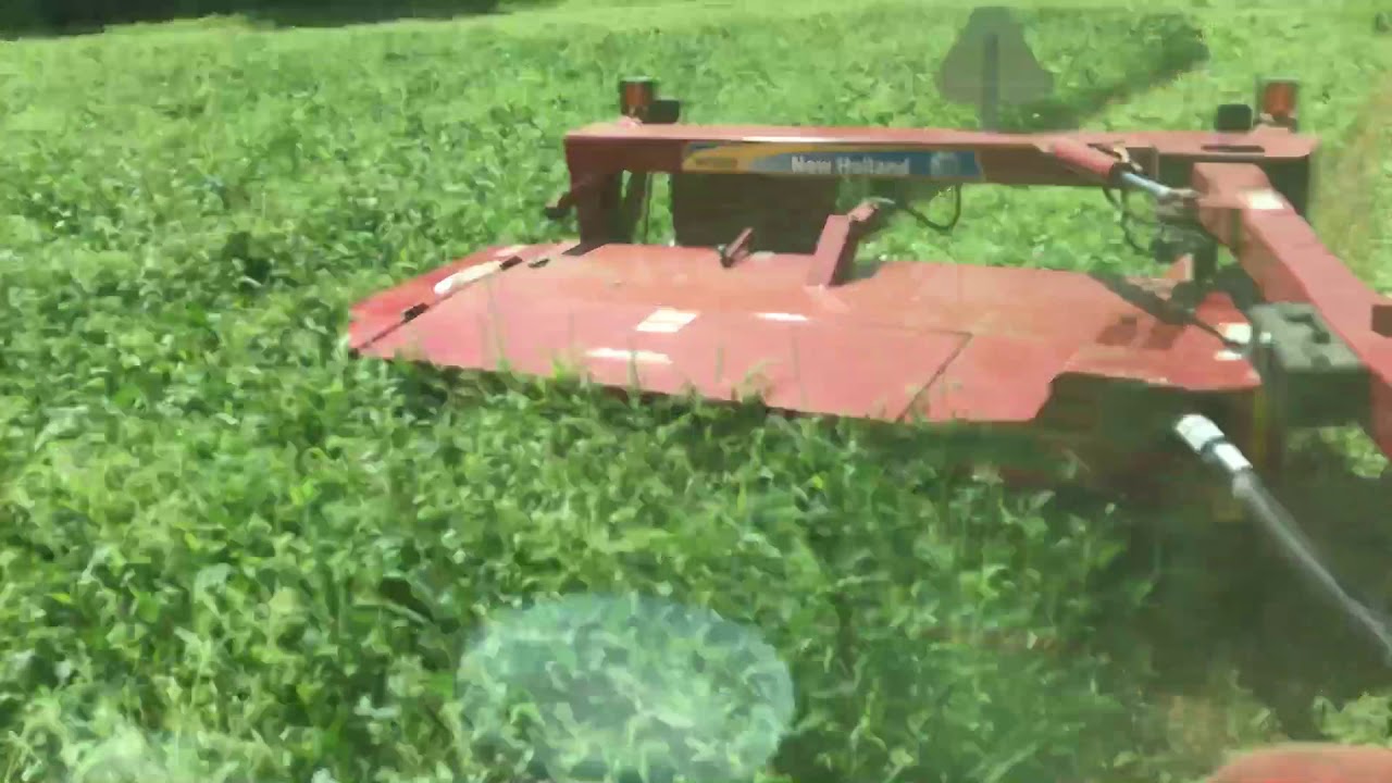 Soybean and Browntop Millet Hay being cut with a NH Discbine
