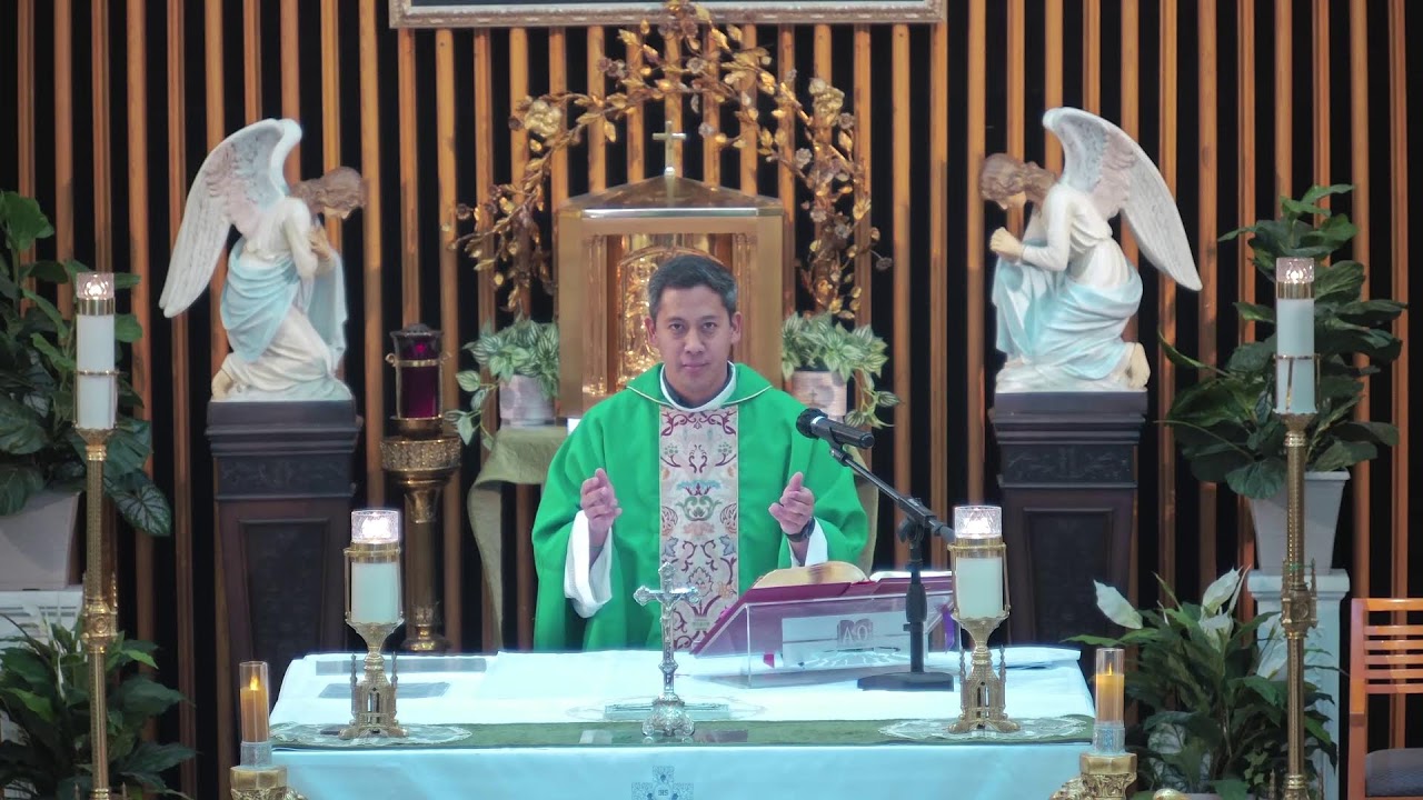 Divine Mercy Parish, Rahway NJ , 5TH SUNDAY IN ORDINARY TIME  FEB/8/2026