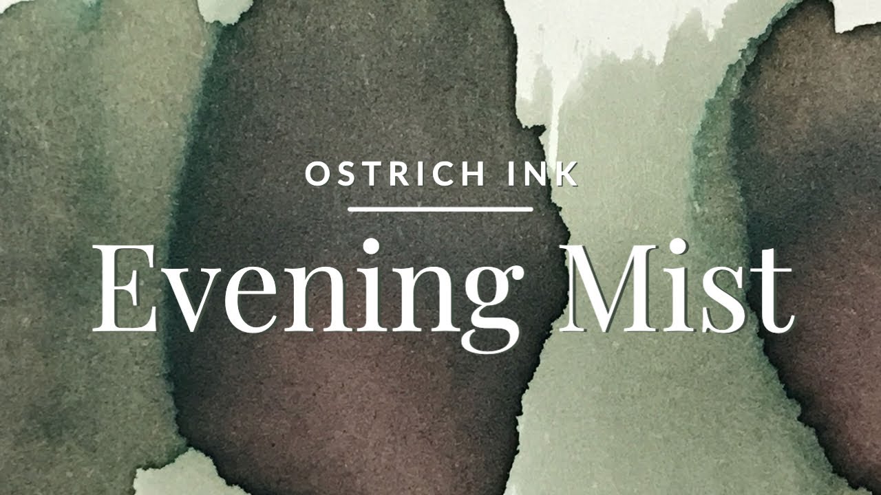 Evening Mist: Ostrich Ink ❊ Fountain Pen Ink Swatch Multi Shading Chromoshading AliExpress