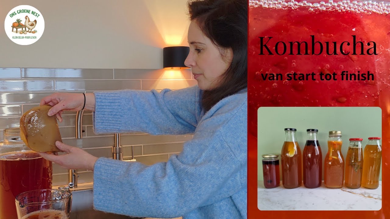 Kombucha van start tot finish🍷