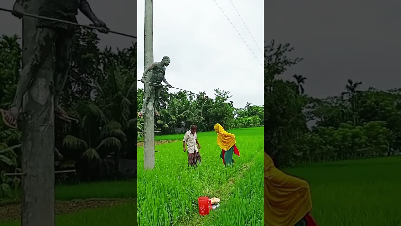 ধান ক্ষেতে বসে ভাত খাওয়ার সময় শয়তানি করে কে