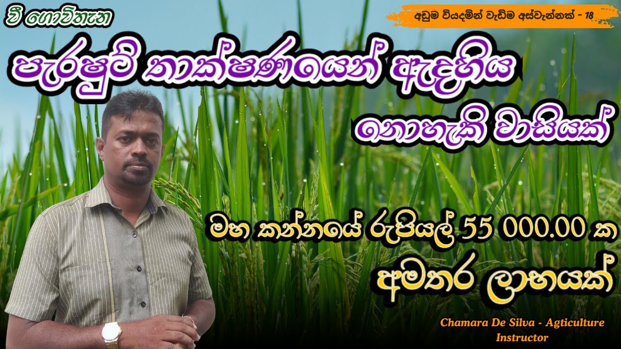 නවීන පැරෂුට් තාක්ෂණයෙන් දෙගුණයක අස්වැන්නක් | ඔබ නොදත් සියලුම රහස්