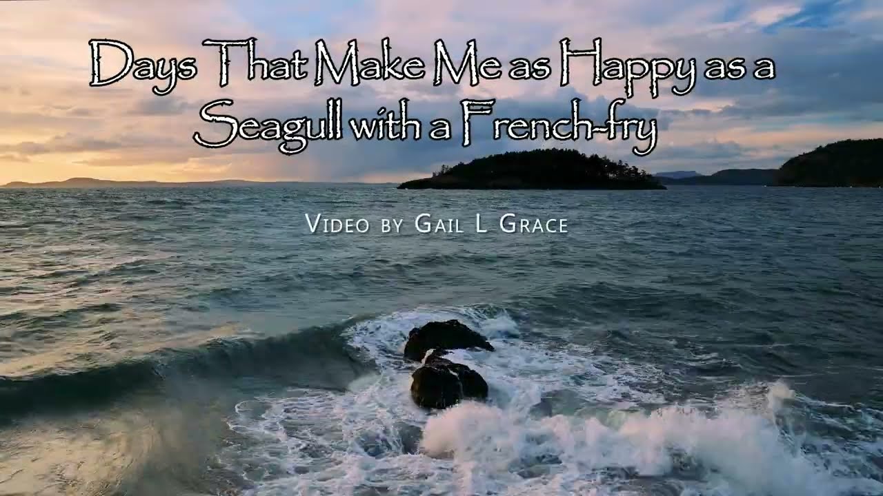 Days That Make Me as Happy as a Seagull With a French-fry
