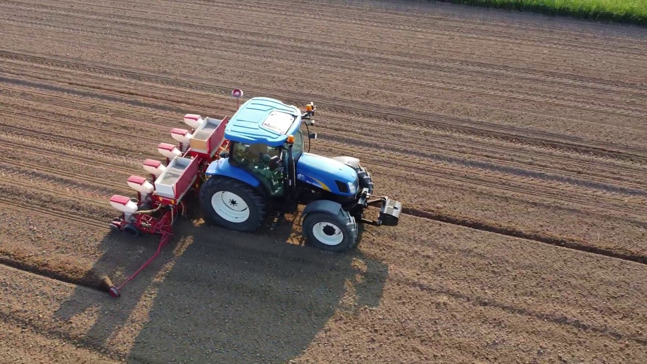 Σπορά Ηλίανθου - Sunflowers Sowing - New Holland TS110A - Gaspardo 6 Row